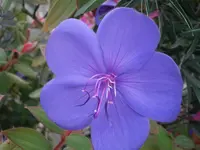 PA240774.webp