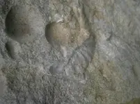PA240783.webp