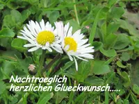 Copy of IMG_5265.webp