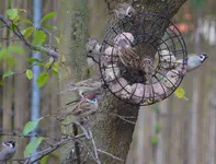 Sommerschlussverkauf.webp