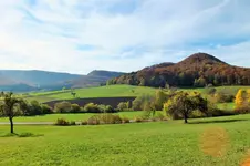 DSCF4123 (2).webp