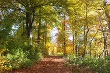 DSCF4128.webp