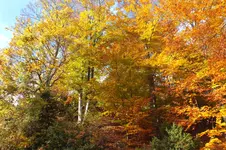 DSCF4139.webp