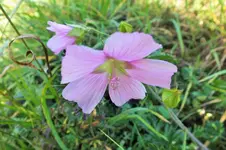 DSCF4122 (2).webp
