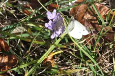 DSCF4130.webp