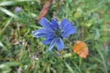 DSCF4148.webp