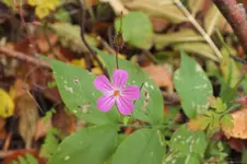 DSCF4150.webp