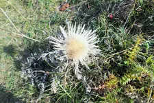 DSCF4163 (2).webp