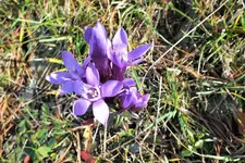 DSCF4165 (2).webp