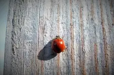 DSCF4152 (2).webp
