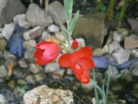 PA250792.webp