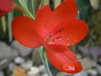 PA250793.webp