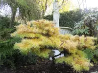 DSCF9187.webp