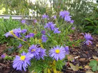 DSCF9146.webp
