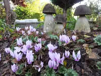 DSCF9154.webp