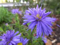 DSCF9147.webp