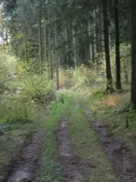 003_600x800.webp