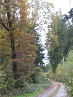 001_600x800.webp