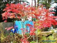 comp_P1250895.webp