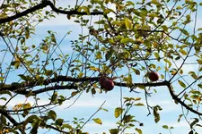 DSCF4133 (2).webp