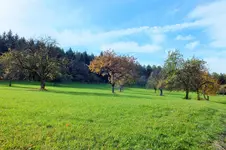 DSCF4155 (2).webp