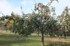 DSCF4172.webp