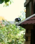 IMG_9705.webp