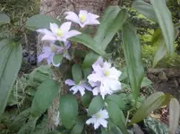 CAM01330.webp