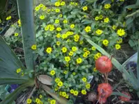 CAM01332.webp
