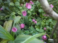 CAM01333.webp