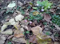 CAM01334.webp