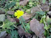 CAM01335.webp
