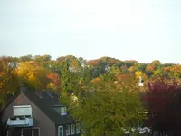 CIMG4194.webp