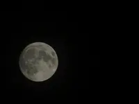 DSCF9235.webp
