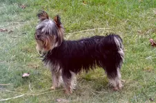 Emmi_0013.webp