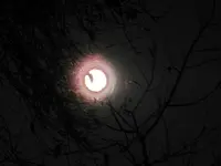 Mond 26-10-2015_0001.webp
