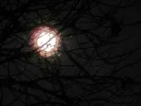 Mond 26-10-2015_0002.webp