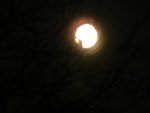 Mond 26-10-2015_0003.jpg