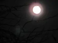 Mond 26-10-2015_0004.webp