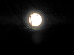 Mond 26-10-2015_0005.jpg