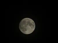 DSCF9234.webp