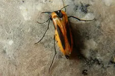 DSCN0404.webp