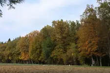 Str Obersch H.webp