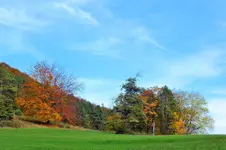 DSCF4180 (2).webp