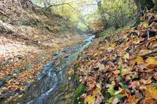 DSCF4188 (2).webp