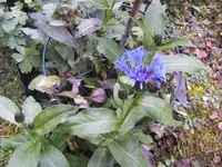 BILD4724.webp