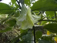 BILD4725.webp