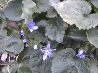BILD4741.webp