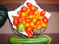 014.webp