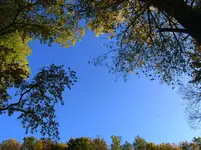 004.webp